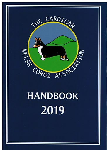 2019 Handbook Cover